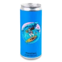 Пиво Varvar Ipanema IPA, ABV 5.3%, 0.33л