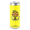 Пиво Varvar Citra, ABV 6%, 0.33 л